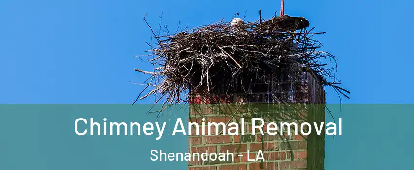  Chimney Animal Removal Shenandoah - LA
