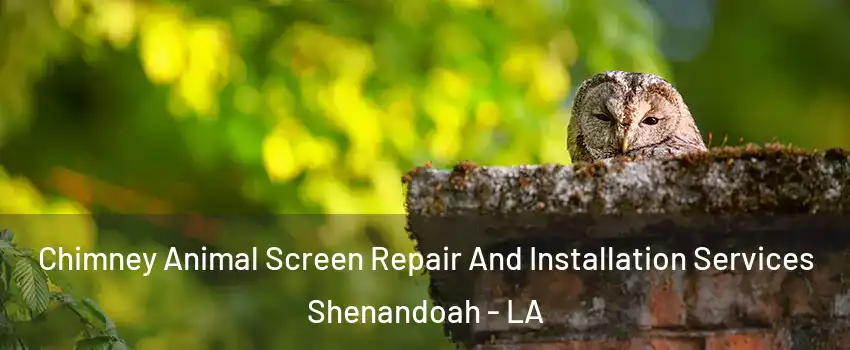  Chimney Animal Screen Repair And Installation Services Shenandoah - LA