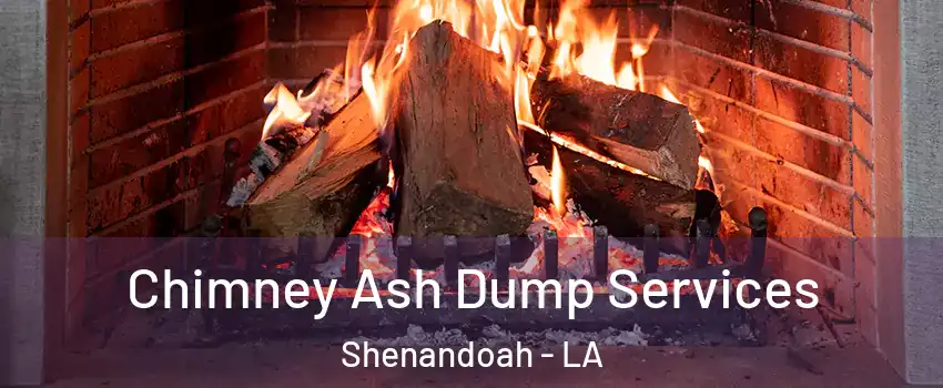  Chimney Ash Dump Services Shenandoah - LA