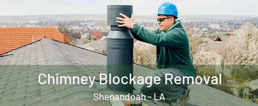  Chimney Blockage Removal Shenandoah - LA