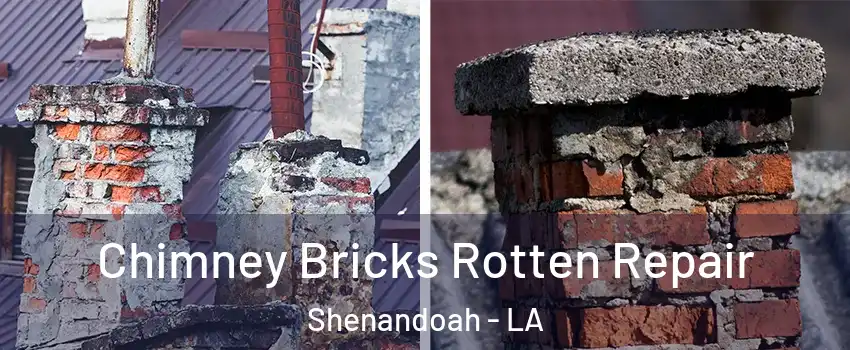  Chimney Bricks Rotten Repair Shenandoah - LA