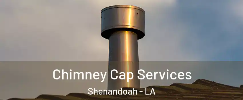  Chimney Cap Services Shenandoah - LA