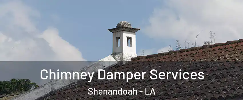  Chimney Damper Services Shenandoah - LA