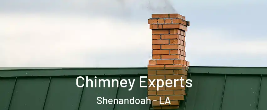  Chimney Experts Shenandoah - LA
