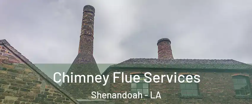  Chimney Flue Services Shenandoah - LA
