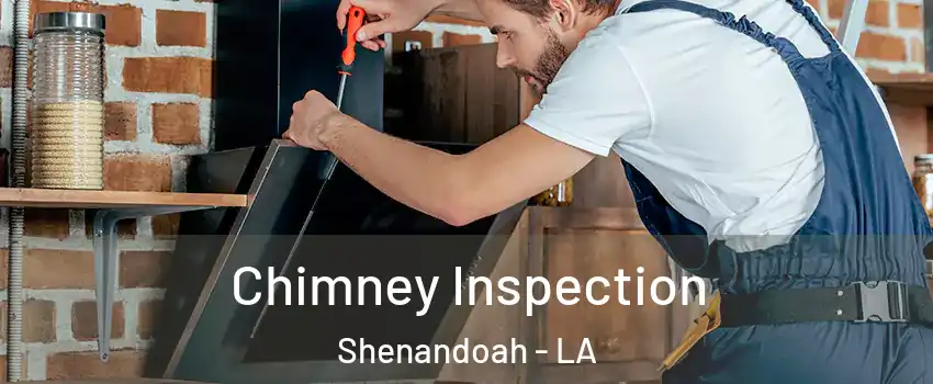  Chimney Inspection Shenandoah - LA