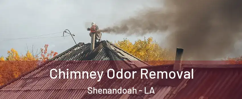  Chimney Odor Removal Shenandoah - LA