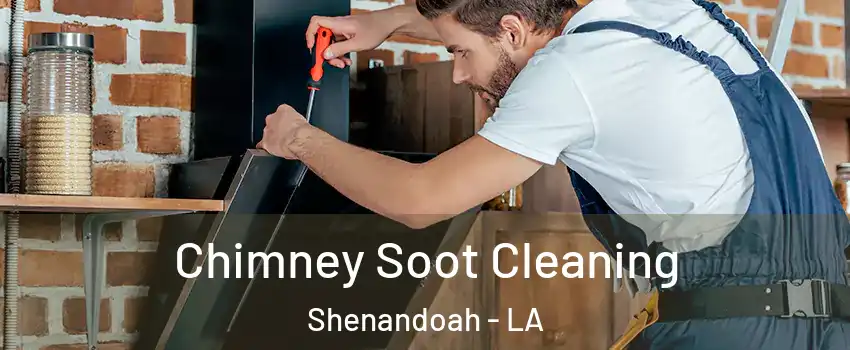  Chimney Soot Cleaning Shenandoah - LA