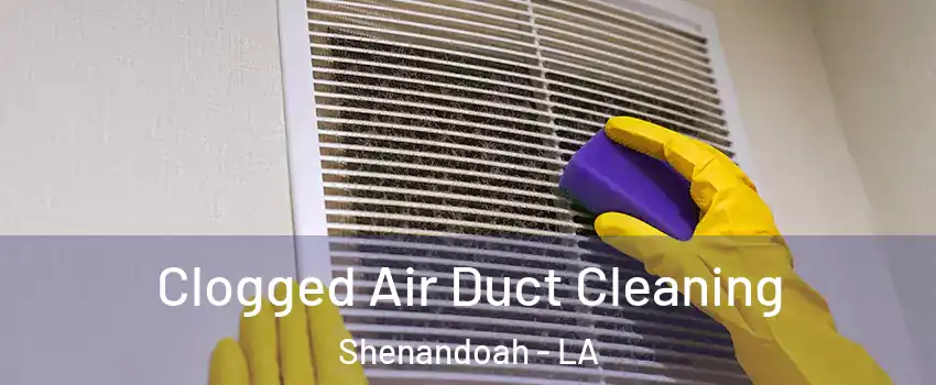 Clogged Air Duct Cleaning Shenandoah - LA