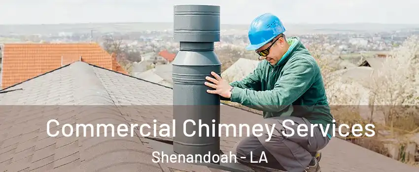  Commercial Chimney Services Shenandoah - LA