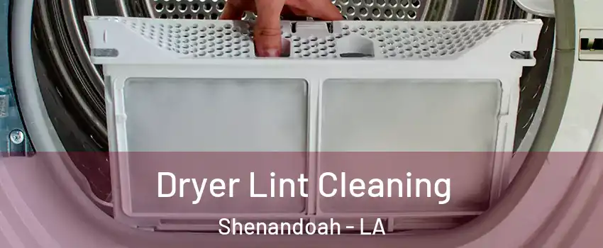  Dryer Lint Cleaning Shenandoah - LA