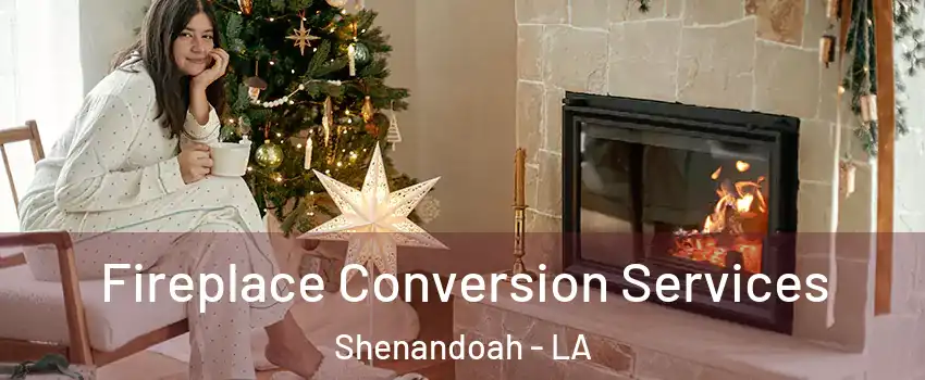  Fireplace Conversion Services Shenandoah - LA