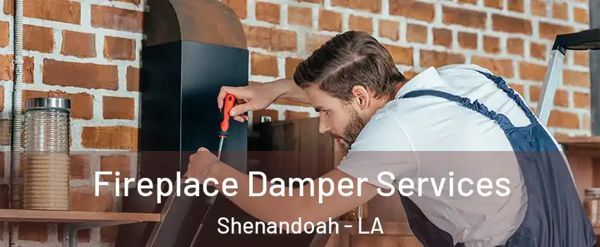  Fireplace Damper Services Shenandoah - LA