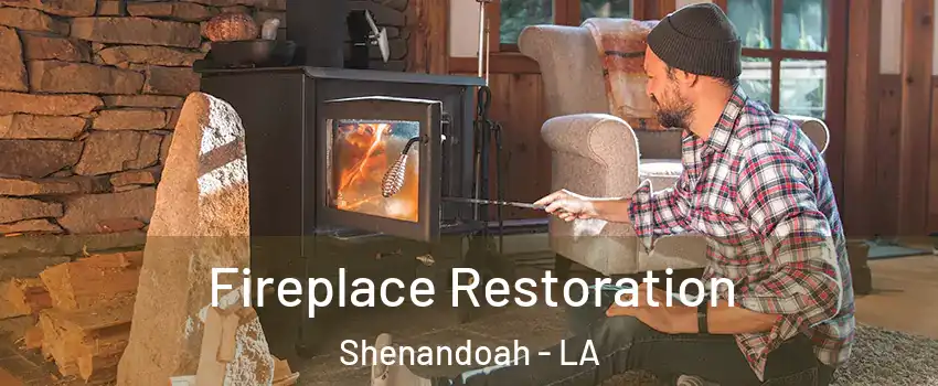  Fireplace Restoration Shenandoah - LA