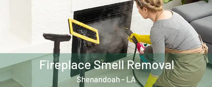  Fireplace Smell Removal Shenandoah - LA