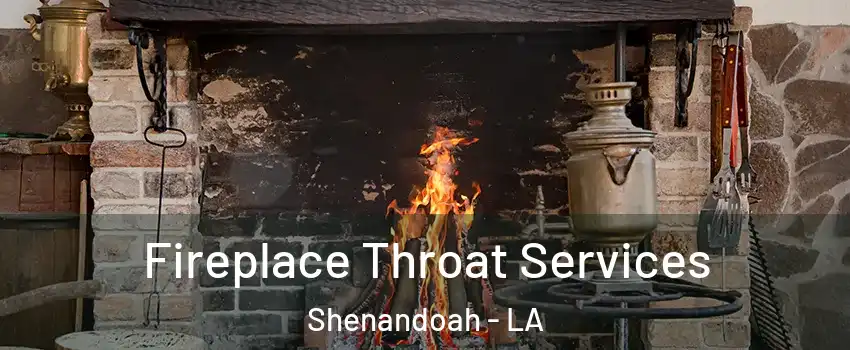  Fireplace Throat Services Shenandoah - LA