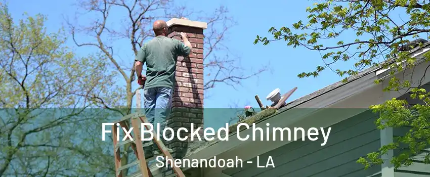  Fix Blocked Chimney Shenandoah - LA