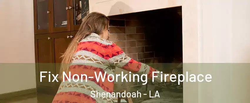  Fix Non-Working Fireplace Shenandoah - LA