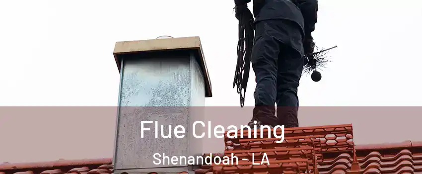  Flue Cleaning Shenandoah - LA