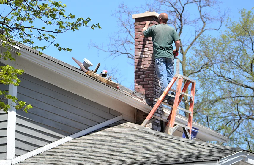 Chimney & Fireplace Inspections Services in Shenandoah, LA