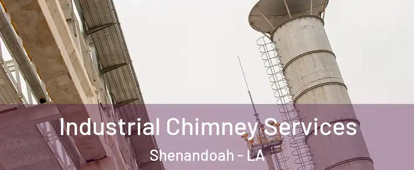  Industrial Chimney Services Shenandoah - LA