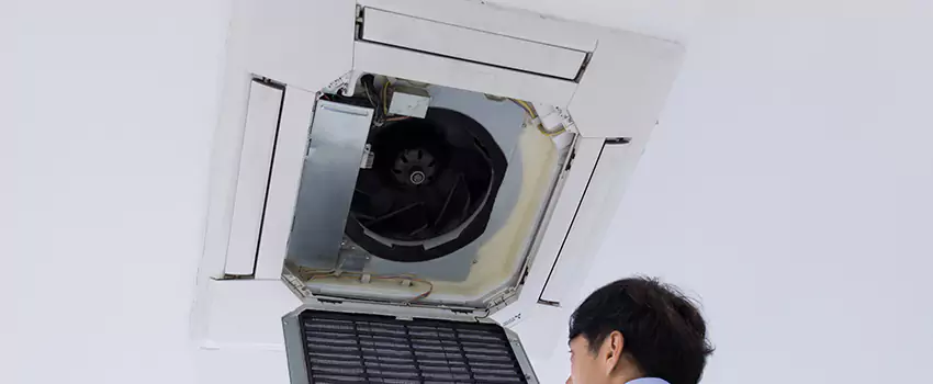 Benefits of Professional Air Duct Cleaning in Shenandoah, Louisiana