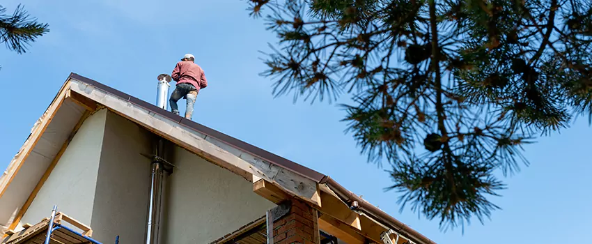 Birds Removal Contractors from Chimney in Shenandoah, LA