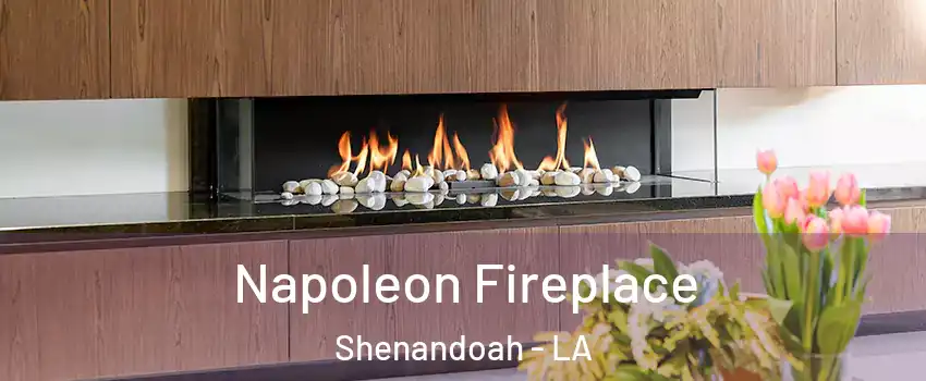  Napoleon Fireplace Shenandoah - LA