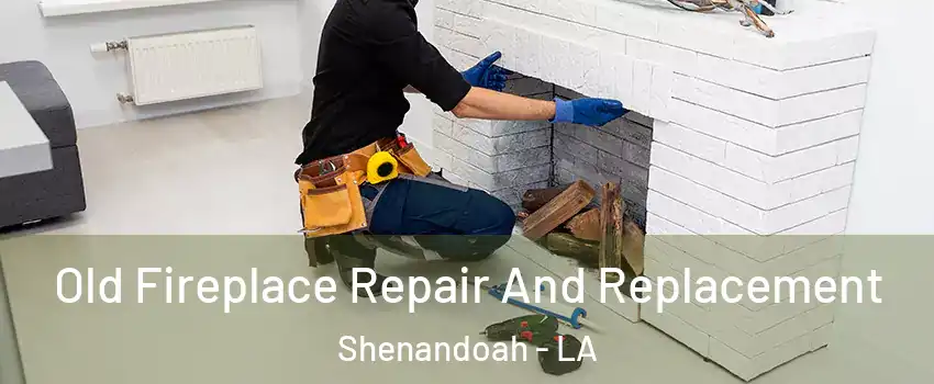  Old Fireplace Repair And Replacement Shenandoah - LA