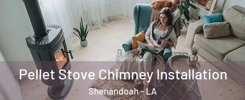  Pellet Stove Chimney Installation Shenandoah - LA