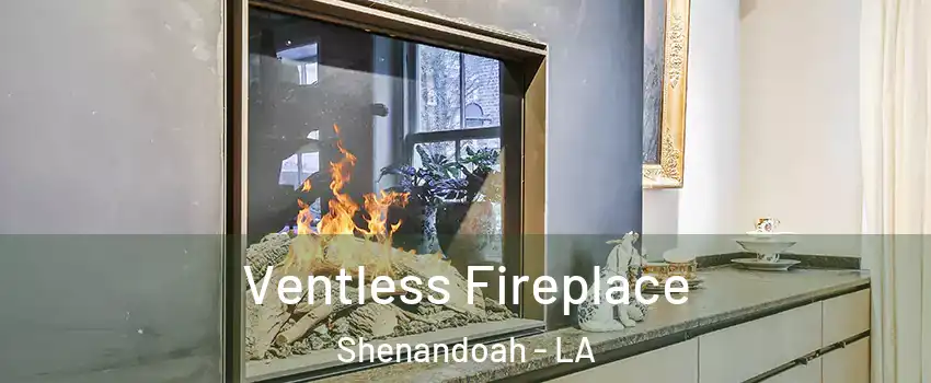  Ventless Fireplace Shenandoah - LA